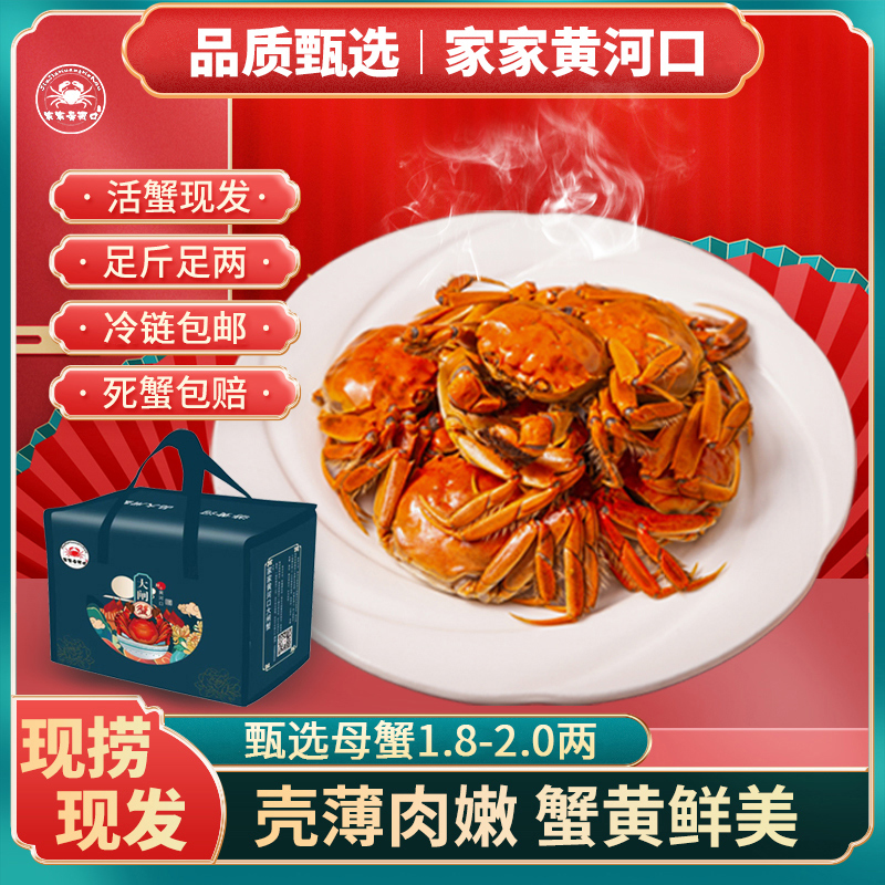 家家黄河口【甄选推荐】鲜活精品蟹全母蟹2两-1.8两到手八只/十只
