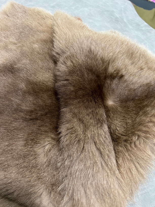 澳大利亚进口袋鼠皮毛一体