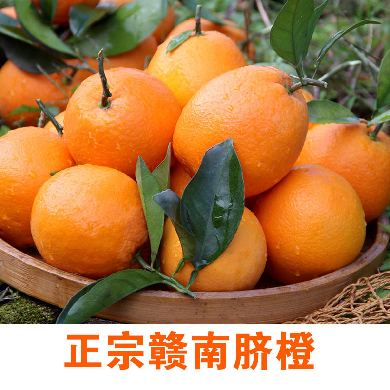 春鲜耘10斤装正宗赣南脐橙产地直发应季水果新鲜橙子