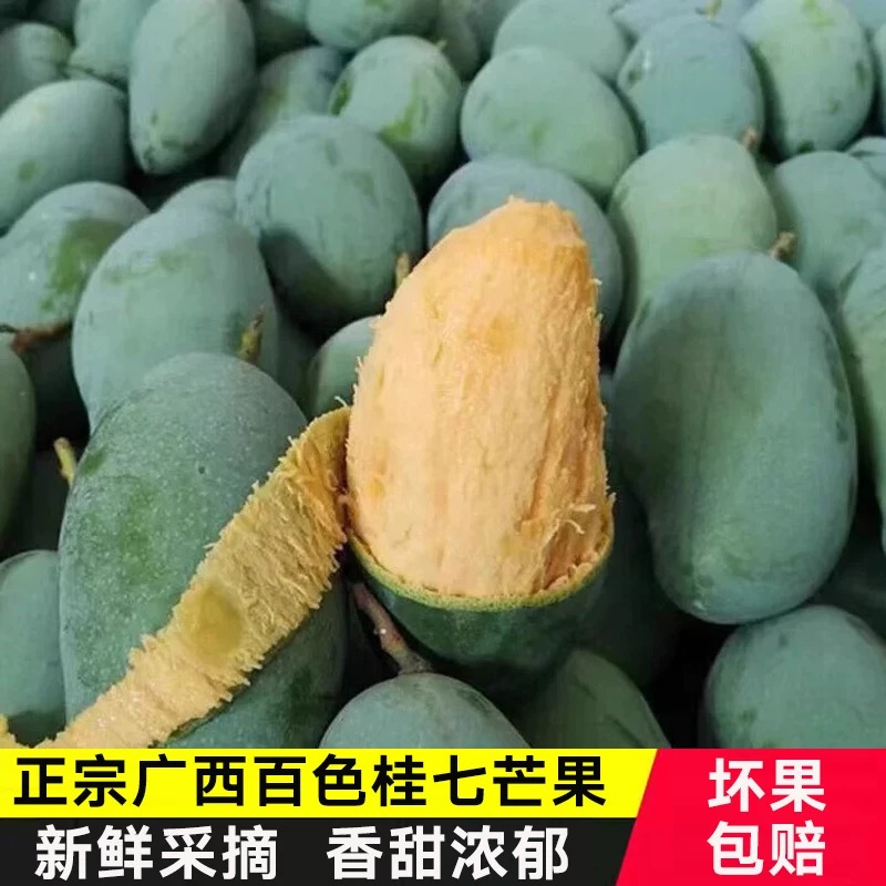 【花皮桂七】正宗广西百色田东桂七香芒花皮桂七新鲜产地直发5斤9斤