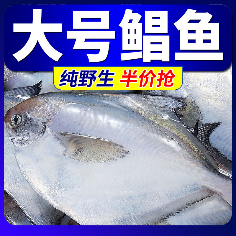 【冷链】野生银鲳鱼新鲜冷冻白鲳鱼海鲜水产鲜活深海鱼平鱼天然鲜美