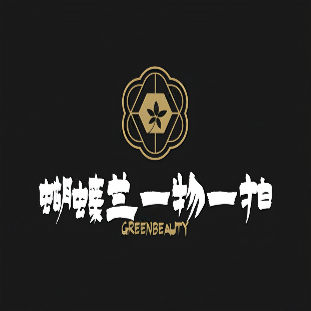 【未知优选】精品《一物一拍》蝴蝶兰带花发货