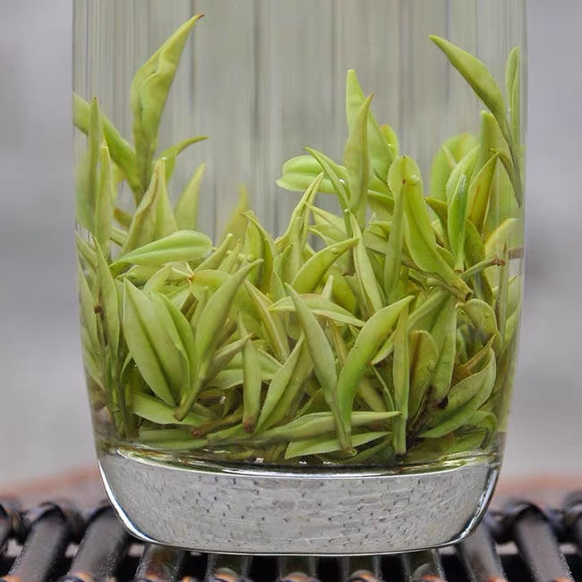 安吉白茶临时链接A88