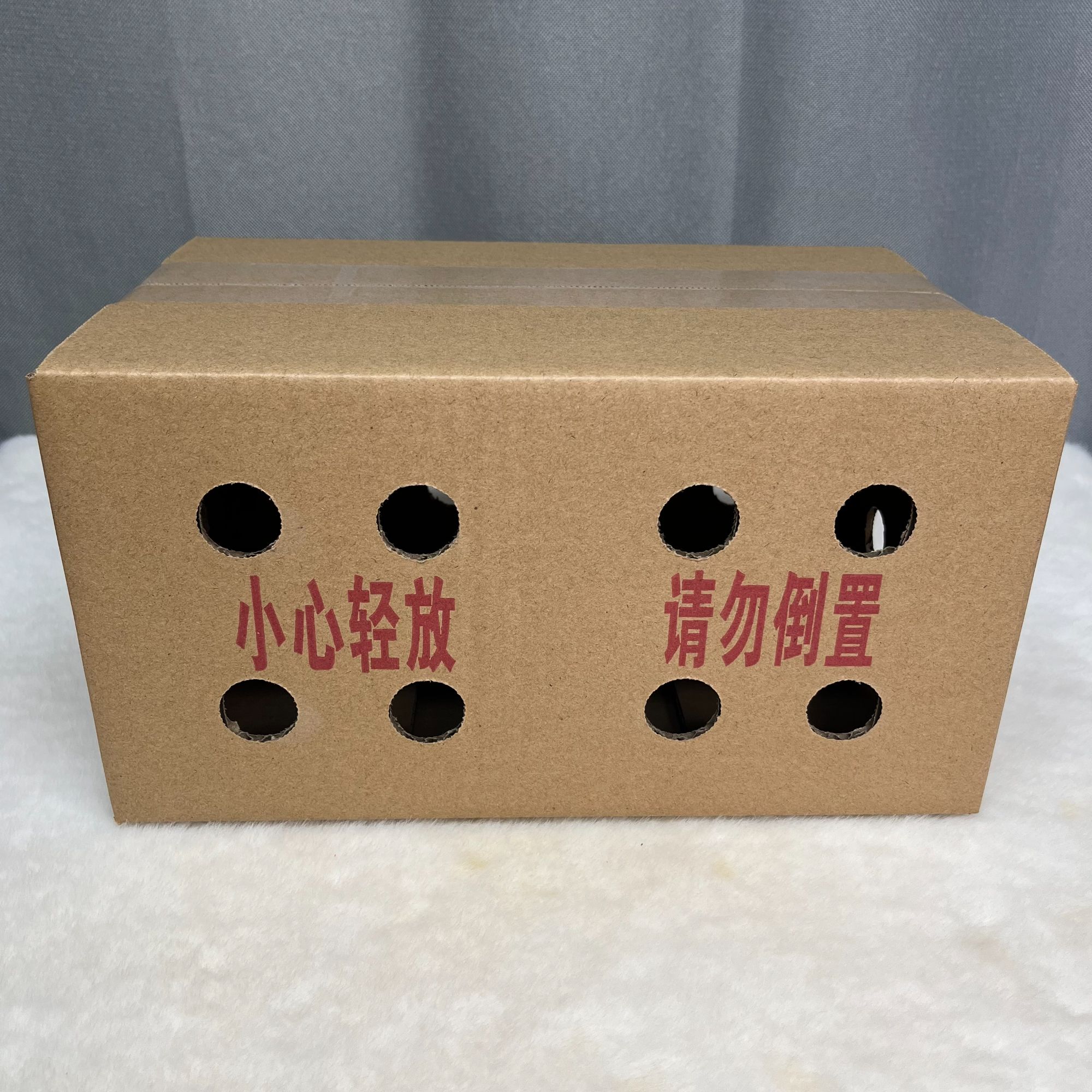 宠物侏儒兔小体型运输笼