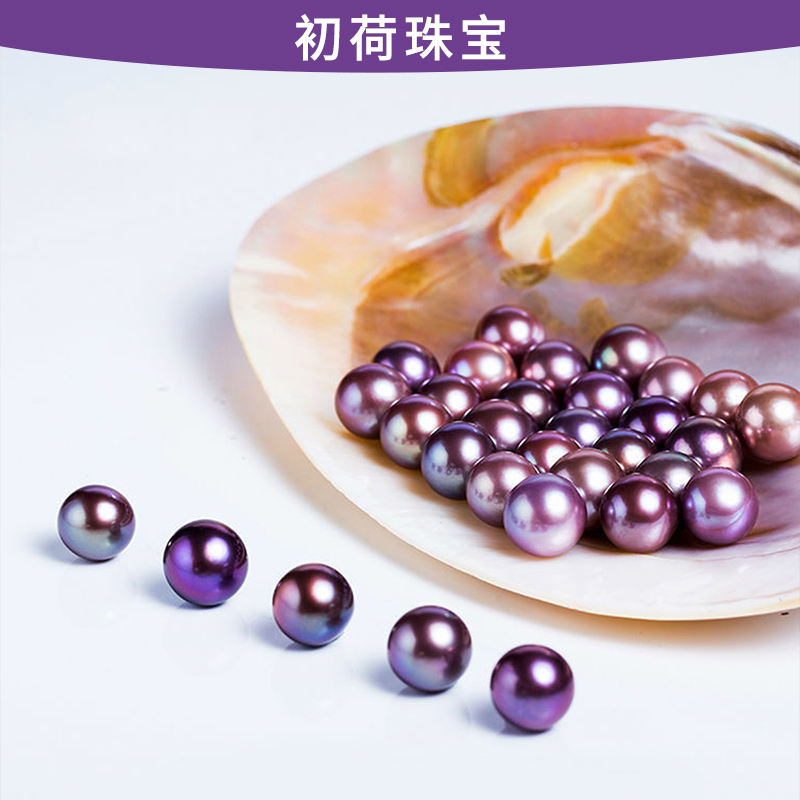 【紫海棠】天然淡水有核彩色珍珠蚌 一蚌一珠