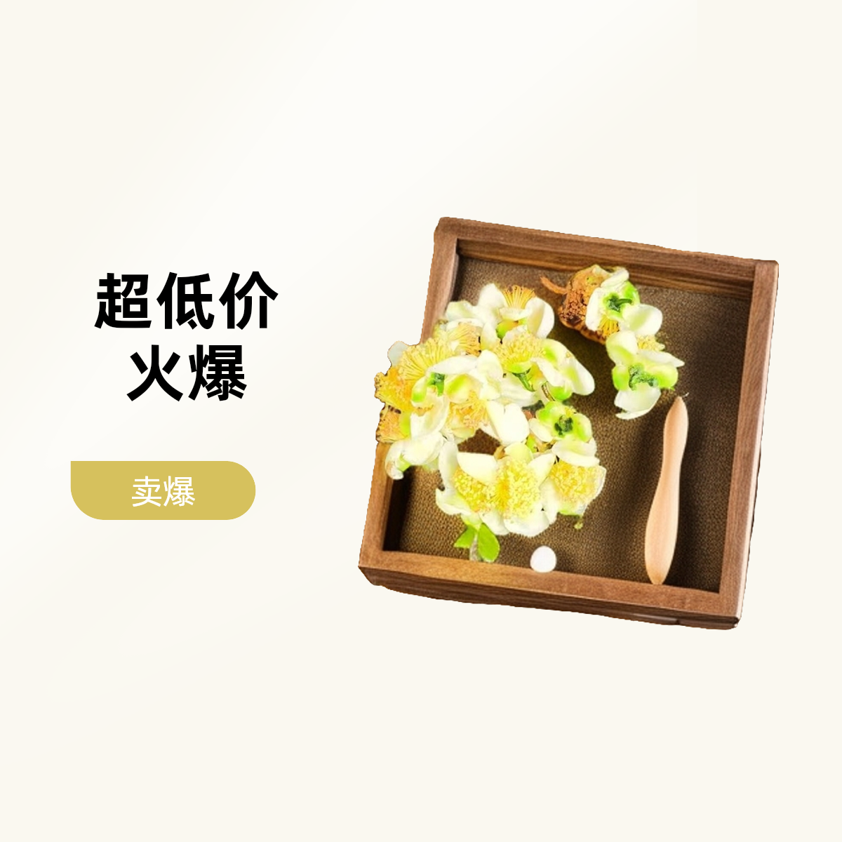 董韵茶香2024年白莺山古树茶花自然晾晒