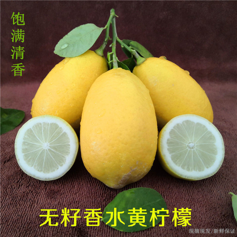 子弹头无籽香水柠檬新鲜榨汁黄果奶茶店专用香味浓郁自产自销当季
