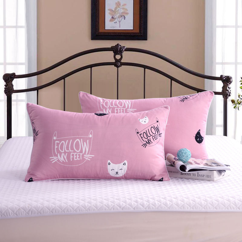 枕头套一对枕套一对装成人家用大号一只一个单个单人学生宿舍可爱