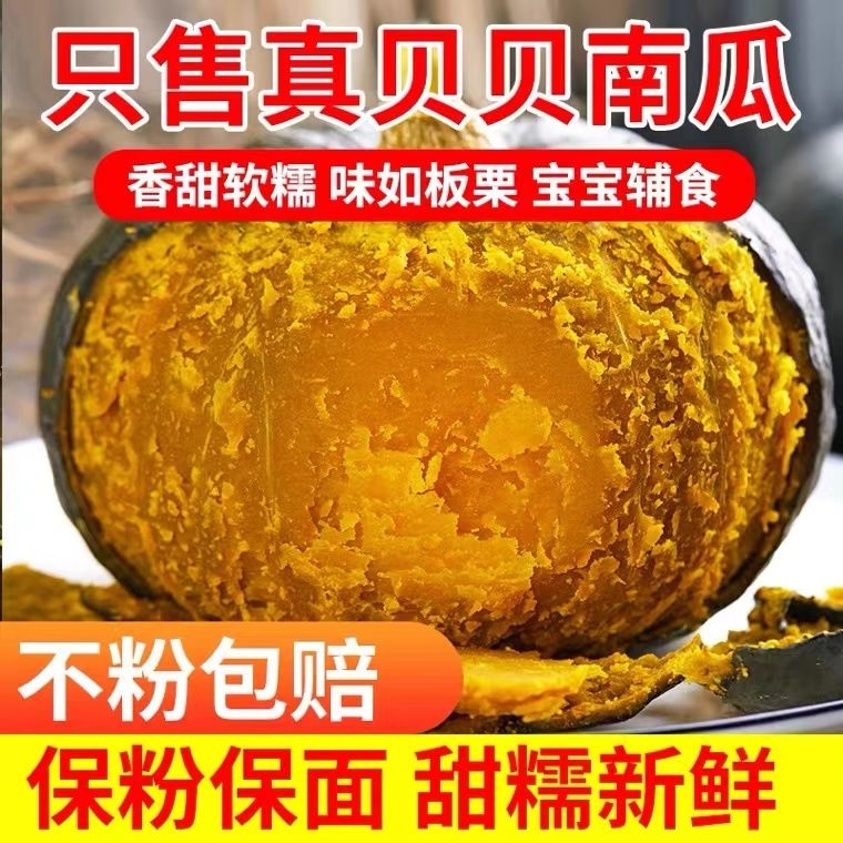 A【超好吃真贝贝】商超品质真贝贝粉糯香甜孕宝辅食南瓜新鲜