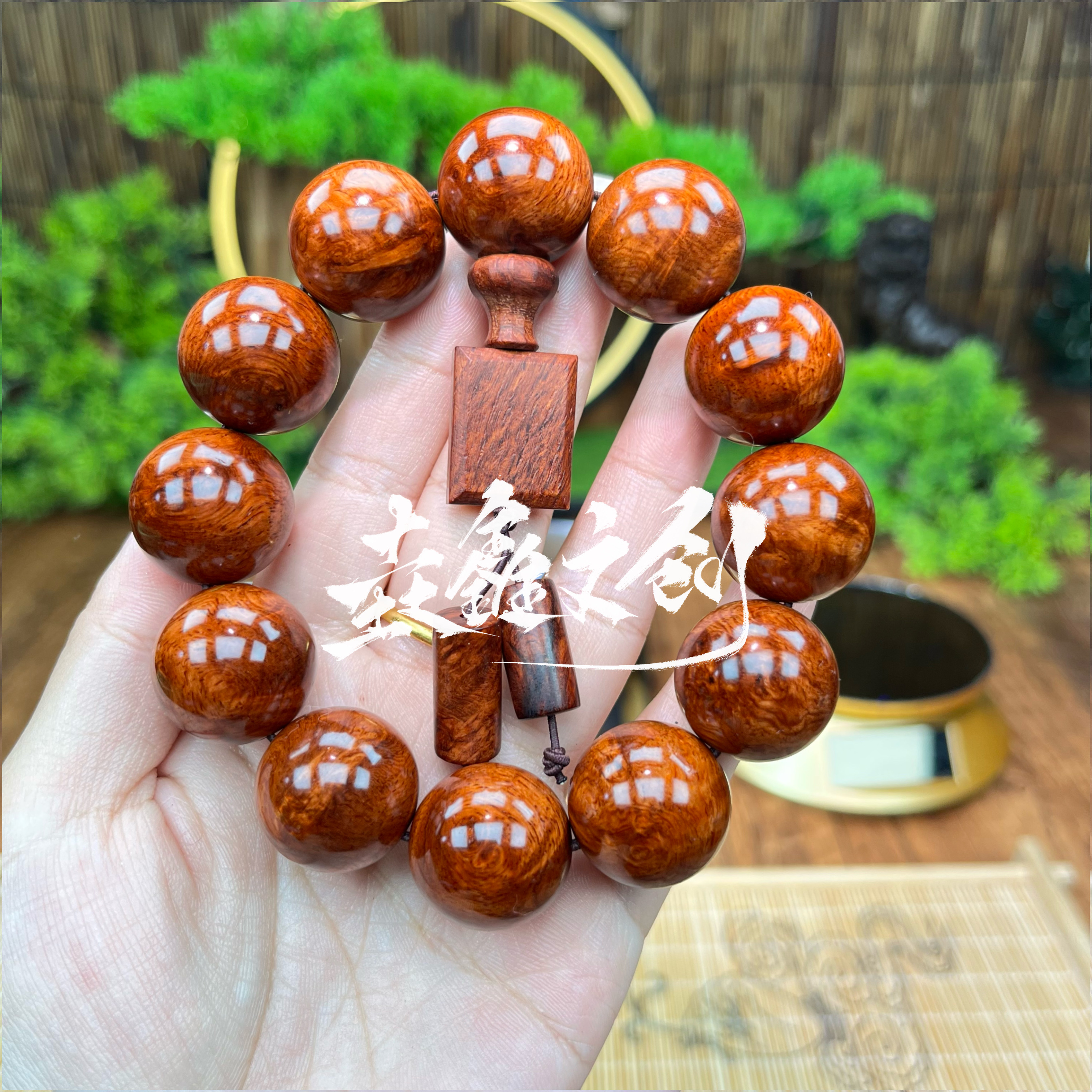 2.0瘤疤海黄【283】