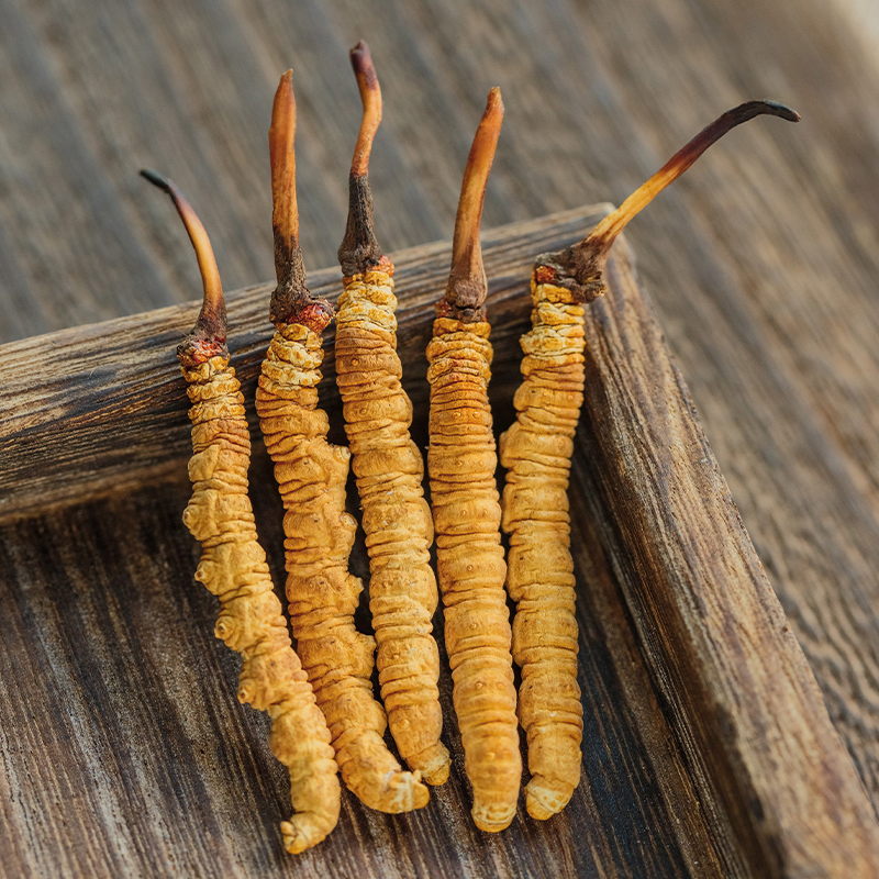 藏清源【西藏直发】0.33克/根正宗西藏那曲冬虫夏草新干货正品保障