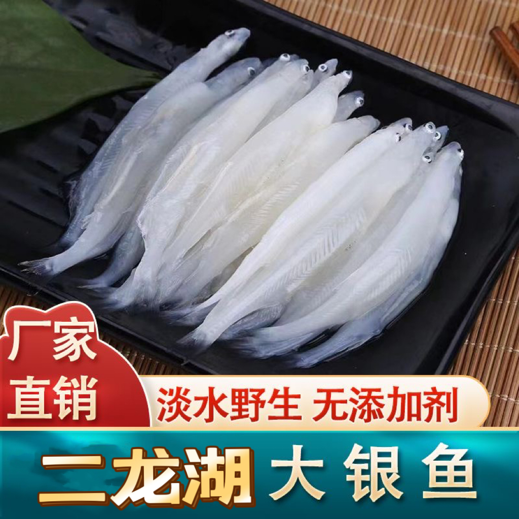 东北特产二龙湖特大银鱼现捕现发新鲜水产速冻宝宝辅食孕妇食用