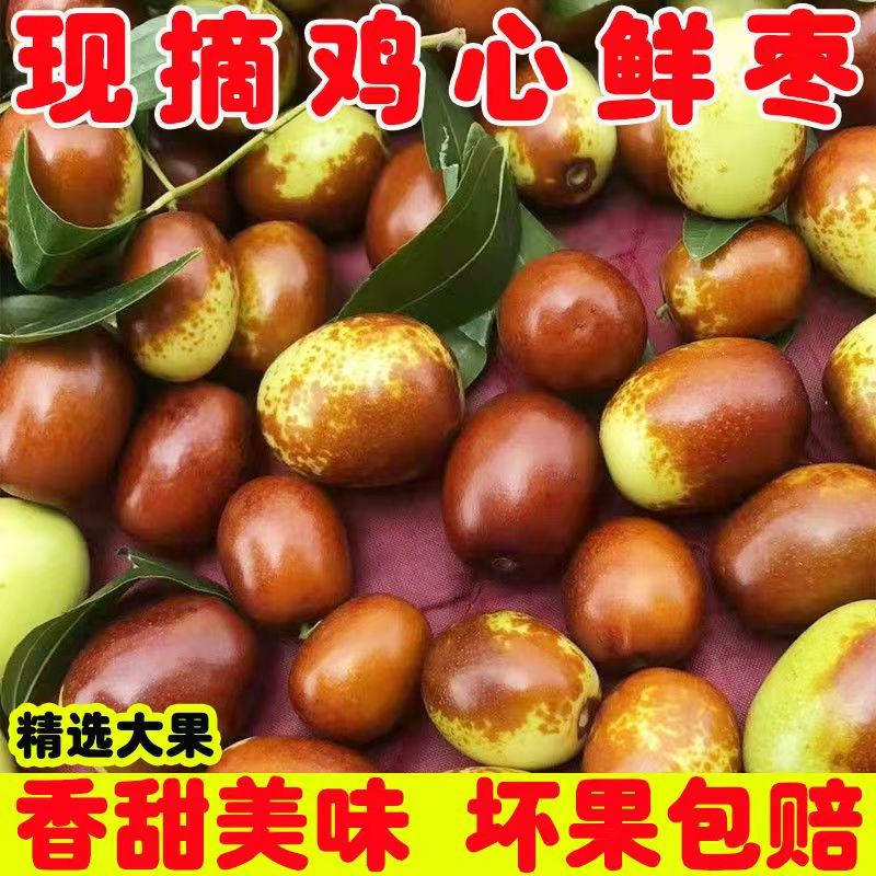 2025现摘山西新鲜鸡心枣花红枣水果脆甜蒸吃鲜甜软糯金丝小枣整箱