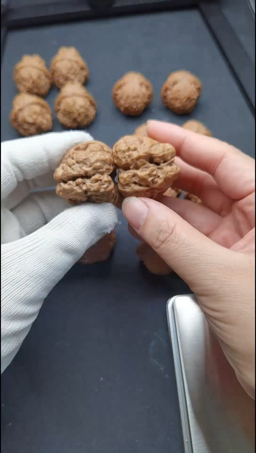 【闪购商品】文玩核桃把件蛤蟆头 37 44 白茬