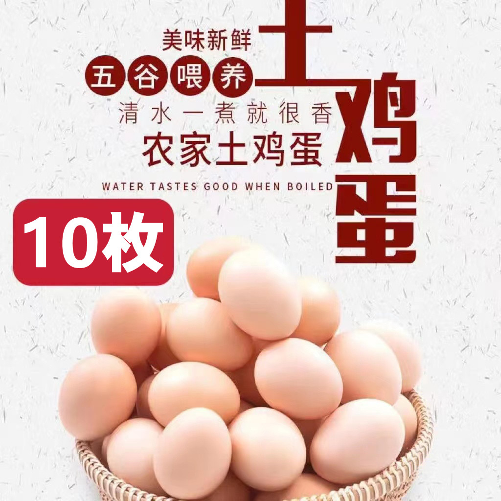 【小芳家】山东散养土鸡蛋 10枚/400g 现捡现发