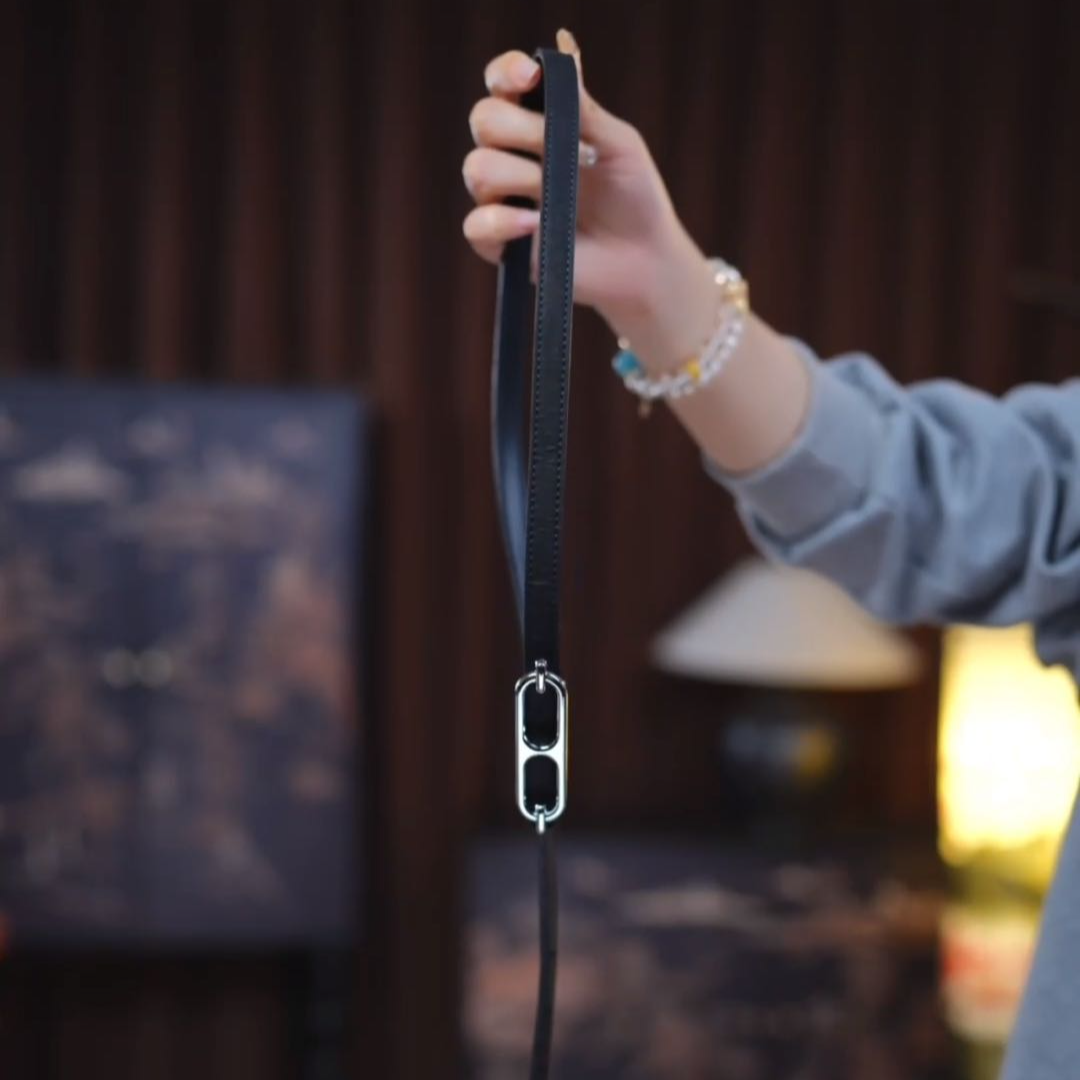 气质轻奢时尚百搭女士复古法式设计师腰带