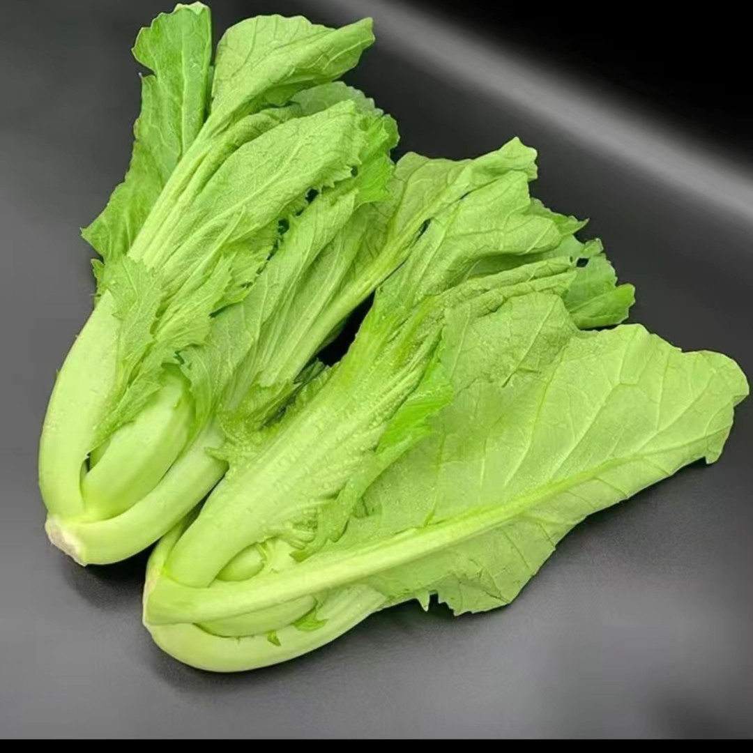 新鲜脆嫩芥菜叶 10元3斤 回购率高