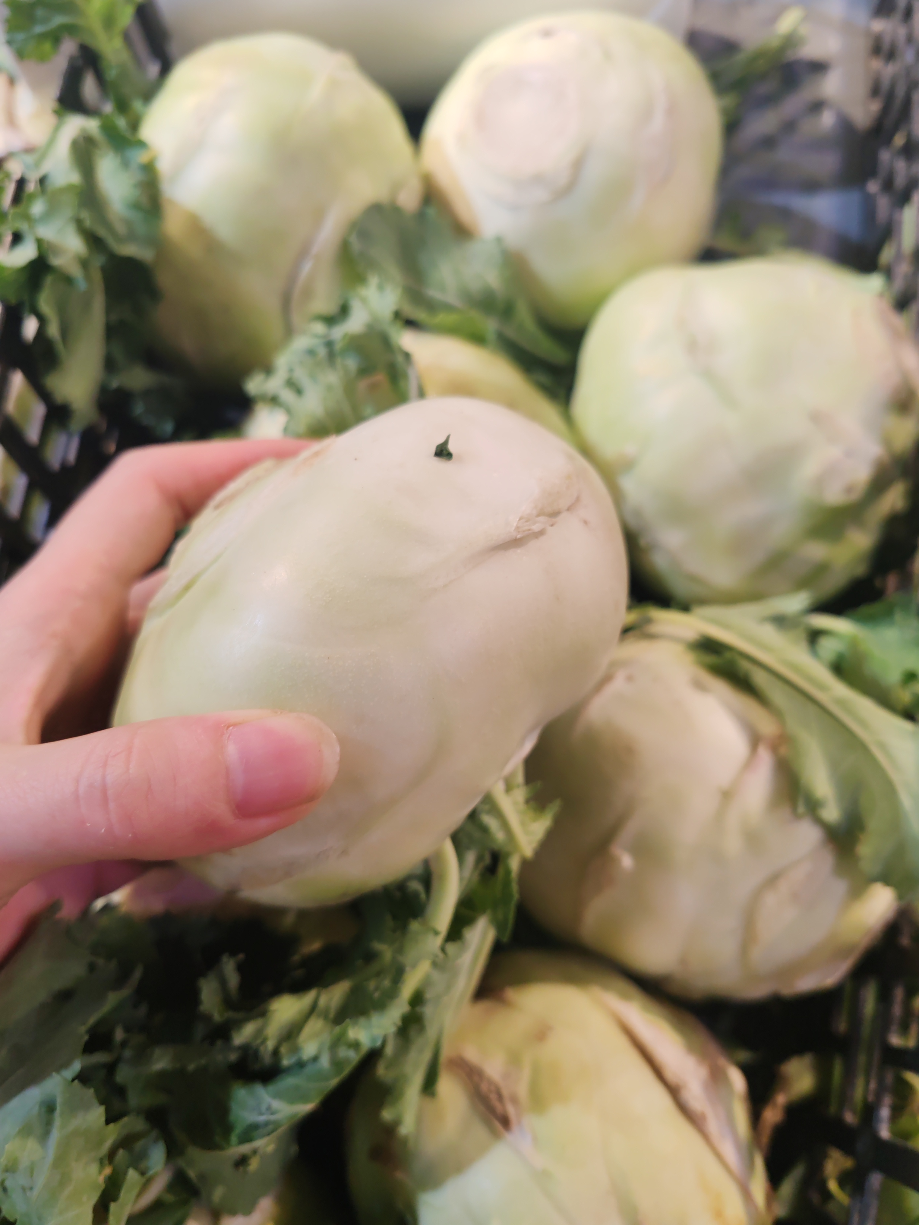 新鲜芥兰头 500g~650g