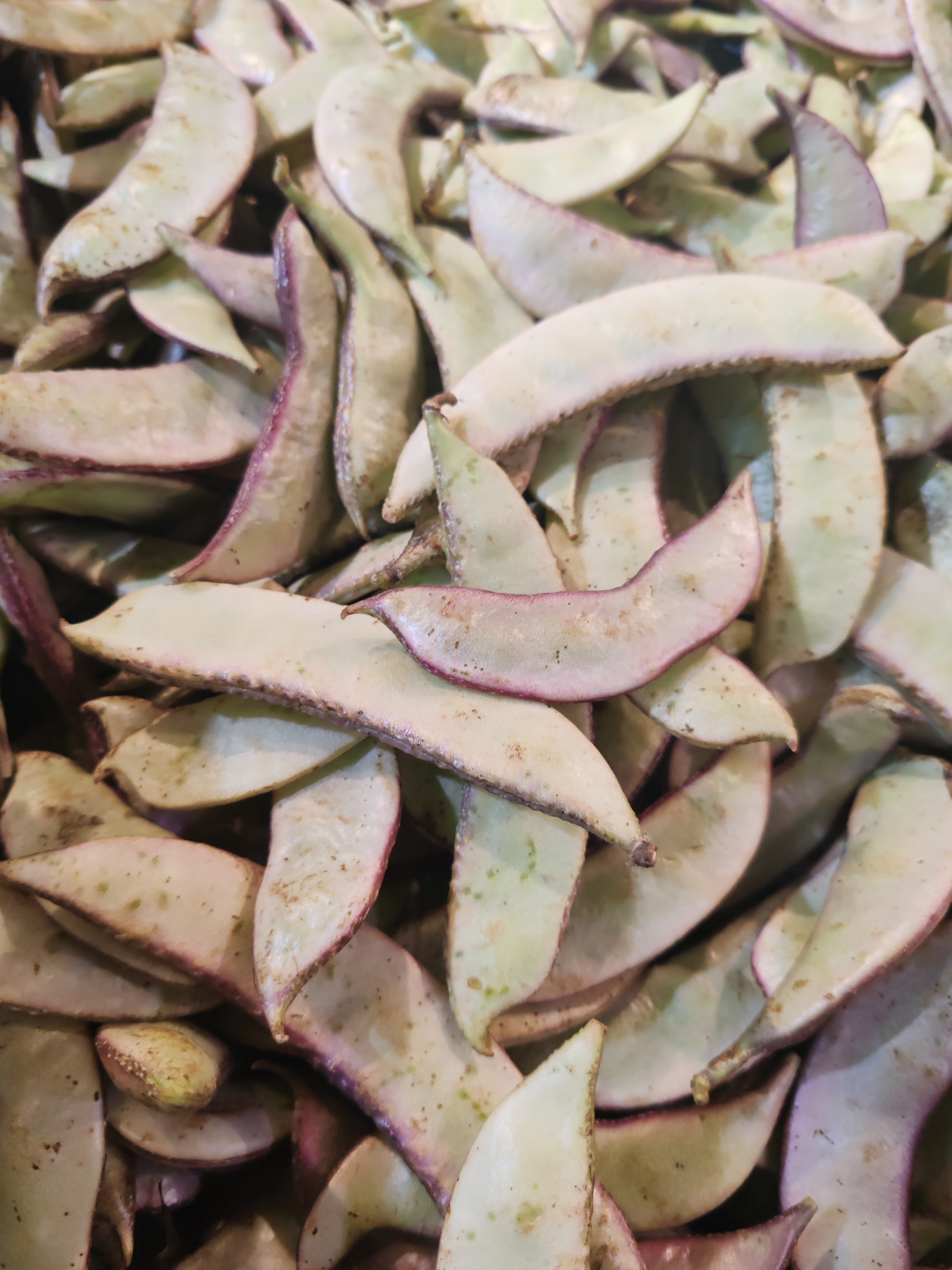 不打药 新鲜红旁皮豆 400g±20g