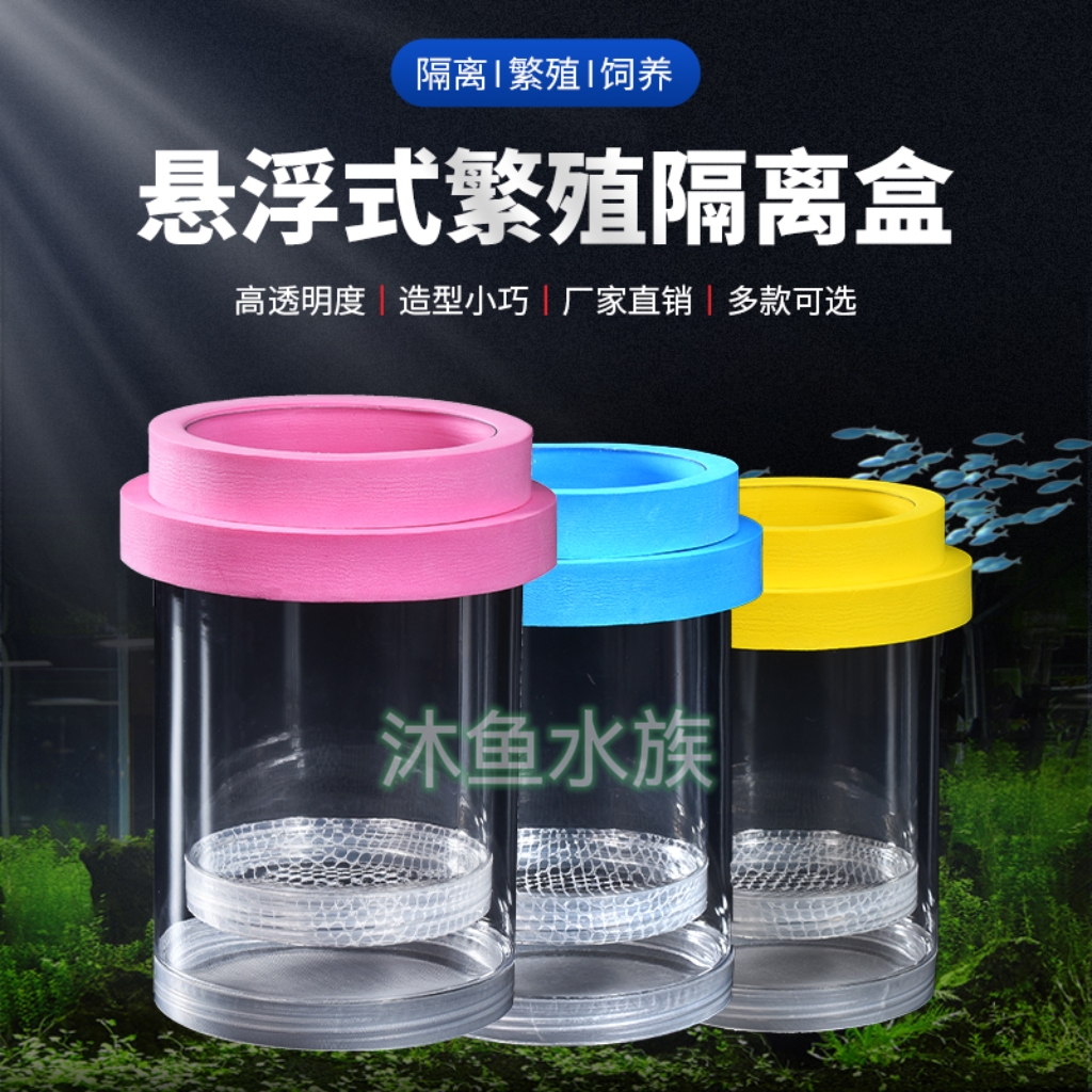 新款孔雀鱼隔离盒繁殖罐鱼繁殖缸隔离网种鱼产箱水族小鱼养殖孵化