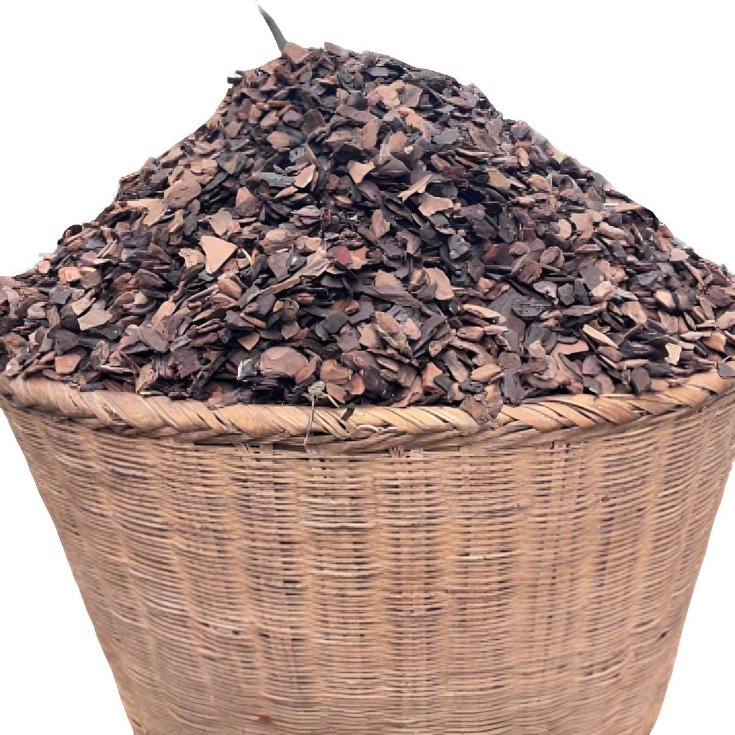 松树皮，经过高温脱脂后发酵了一年