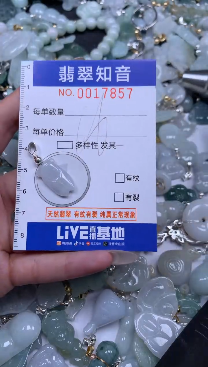 【闪购商品】翡翠挂件未镶嵌含绳17857