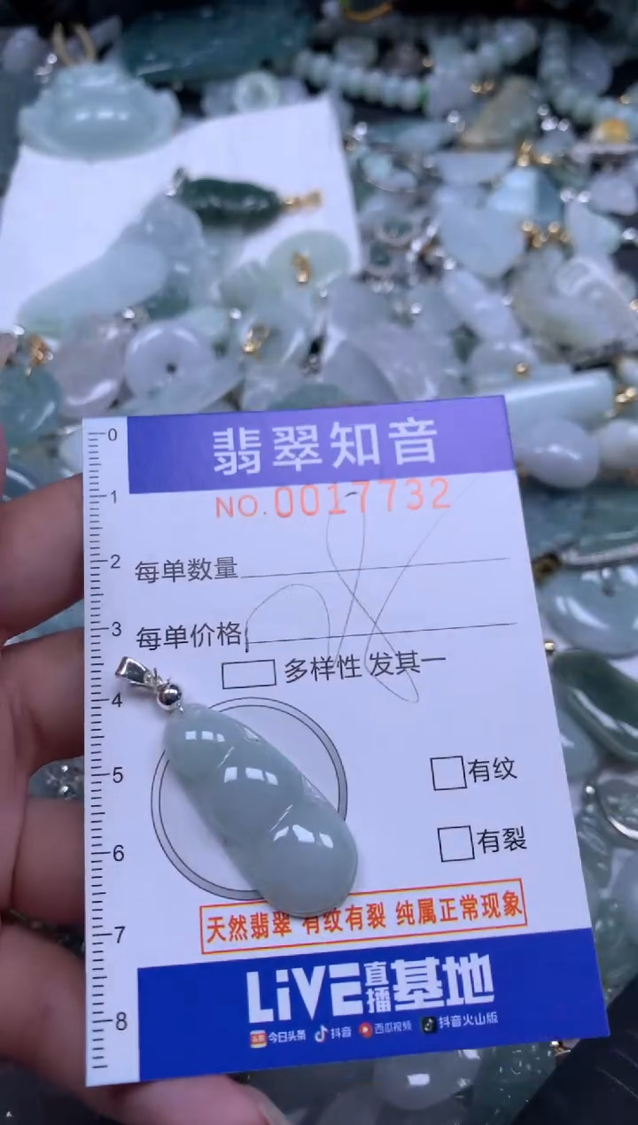 【闪购商品】翡翠挂件未镶嵌含绳17732