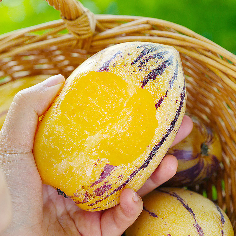 甘肃民勤人参果4.5斤150-400g6-15个