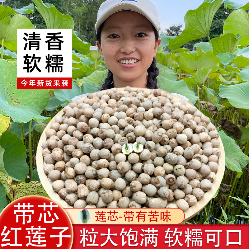正宗湘潭带芯红莲子干货500g 有芯带皮莲子250g 新货无硫年货礼包
