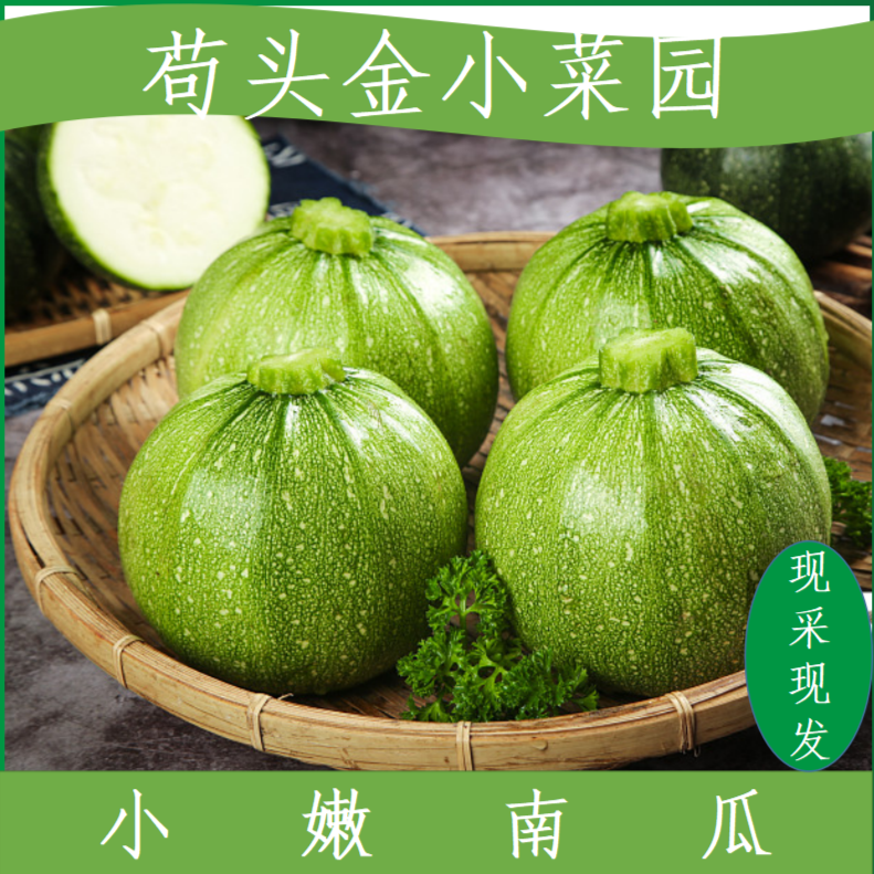 四川【小嫩南瓜】3斤/5斤小南瓜西葫芦鲜香脆甜生鲜现采现发