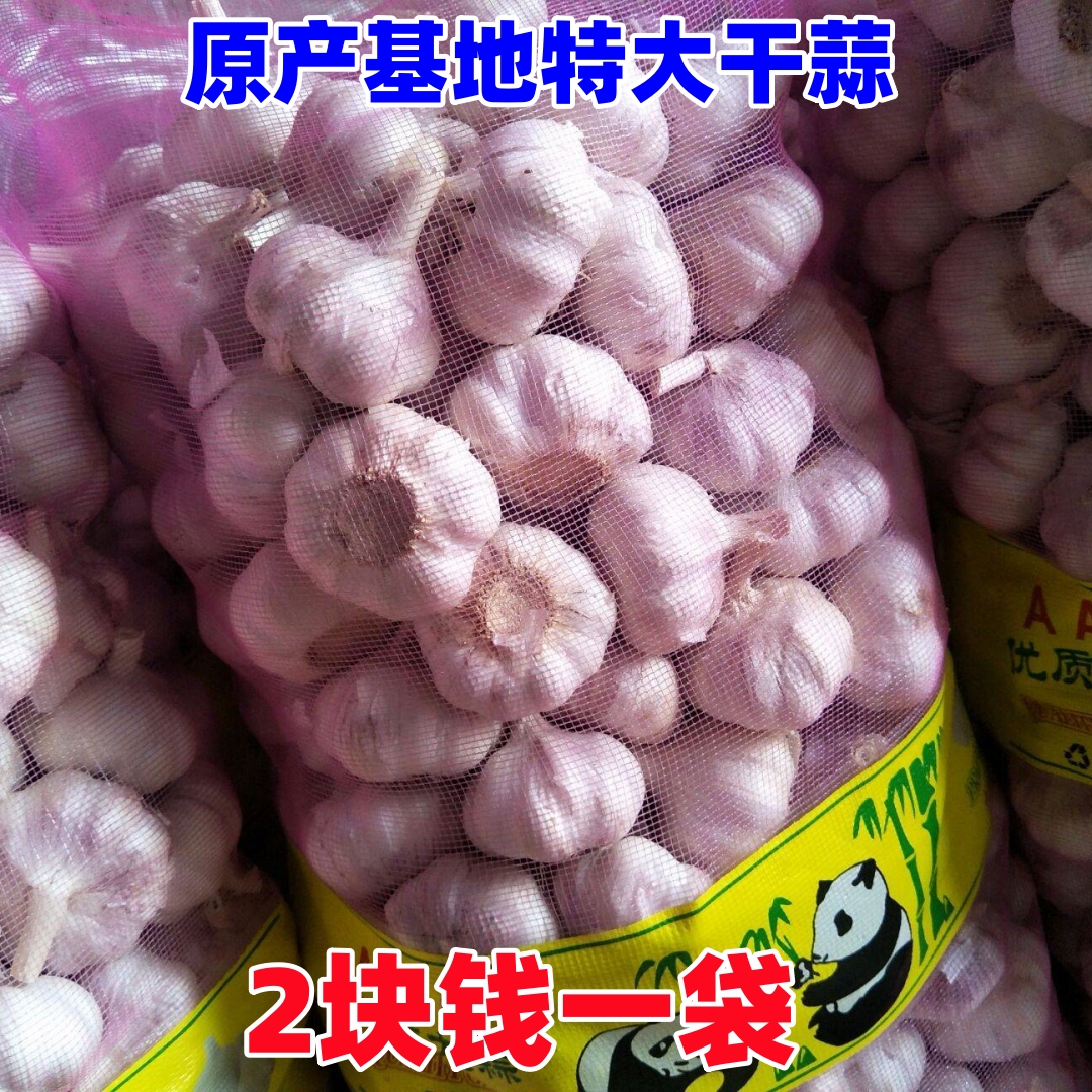 【新店冲量】精选金乡大蒜2023新干蒜5斤坏果包赔