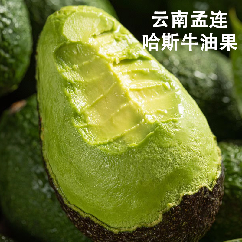 【偏冷地区专属】云南哈斯牛油果黄金果季保温袋泡沫箱发货