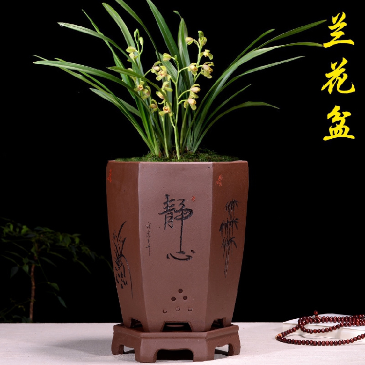 【小扬哥甄选】精品紫砂花盆兰花盆手工刻绘六方君子兰盆兰草花盆