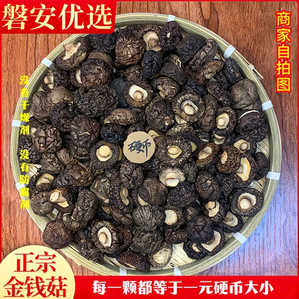 正宗金钱菇，磐安优选(黄金标准2.5CM大小）炒菜炖汤