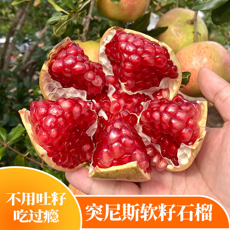 四川突尼斯软籽石榴 3/5斤 新鲜采摘 应季水果 爆汁产地四川饱满