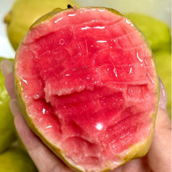 福建平和番石榴红心软芭乐软糯香甜新鲜产地直发现摘现发2.5-3斤