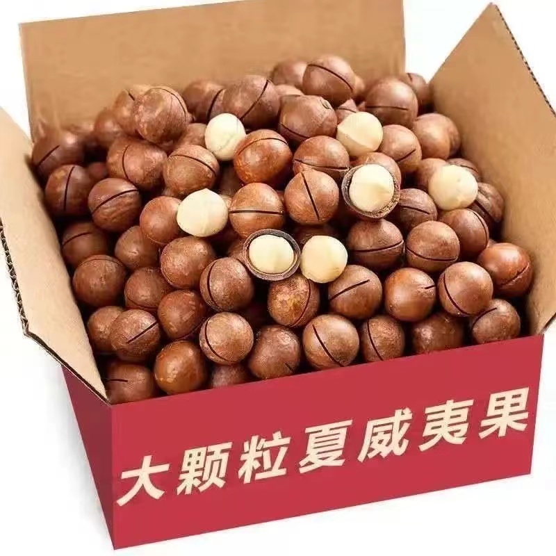 【优选】奶香新货夏威夷果袋装带壳奶油味大颗粒饱满坚果干果仁零食