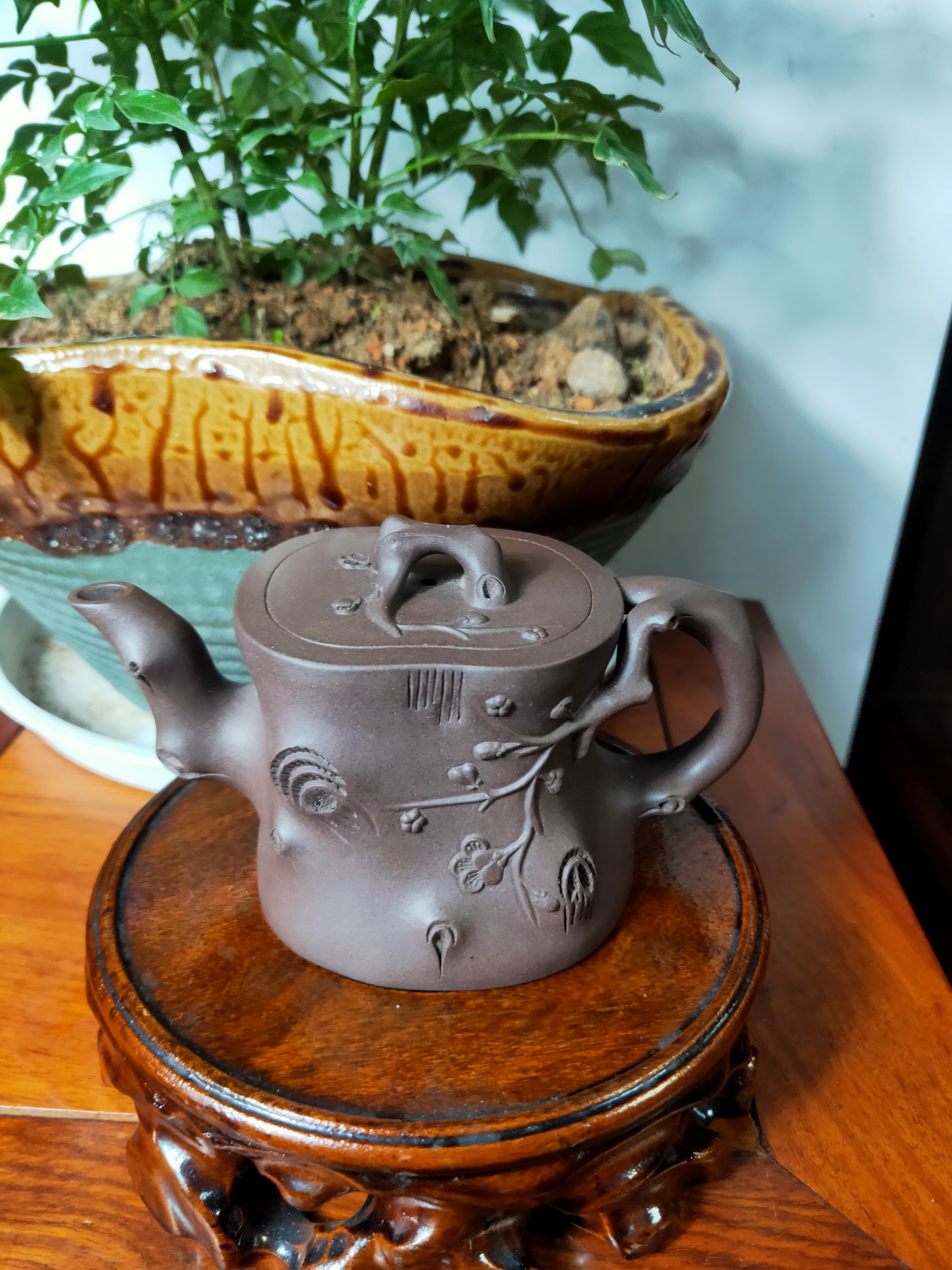 小梅桩，原矿老紫泥