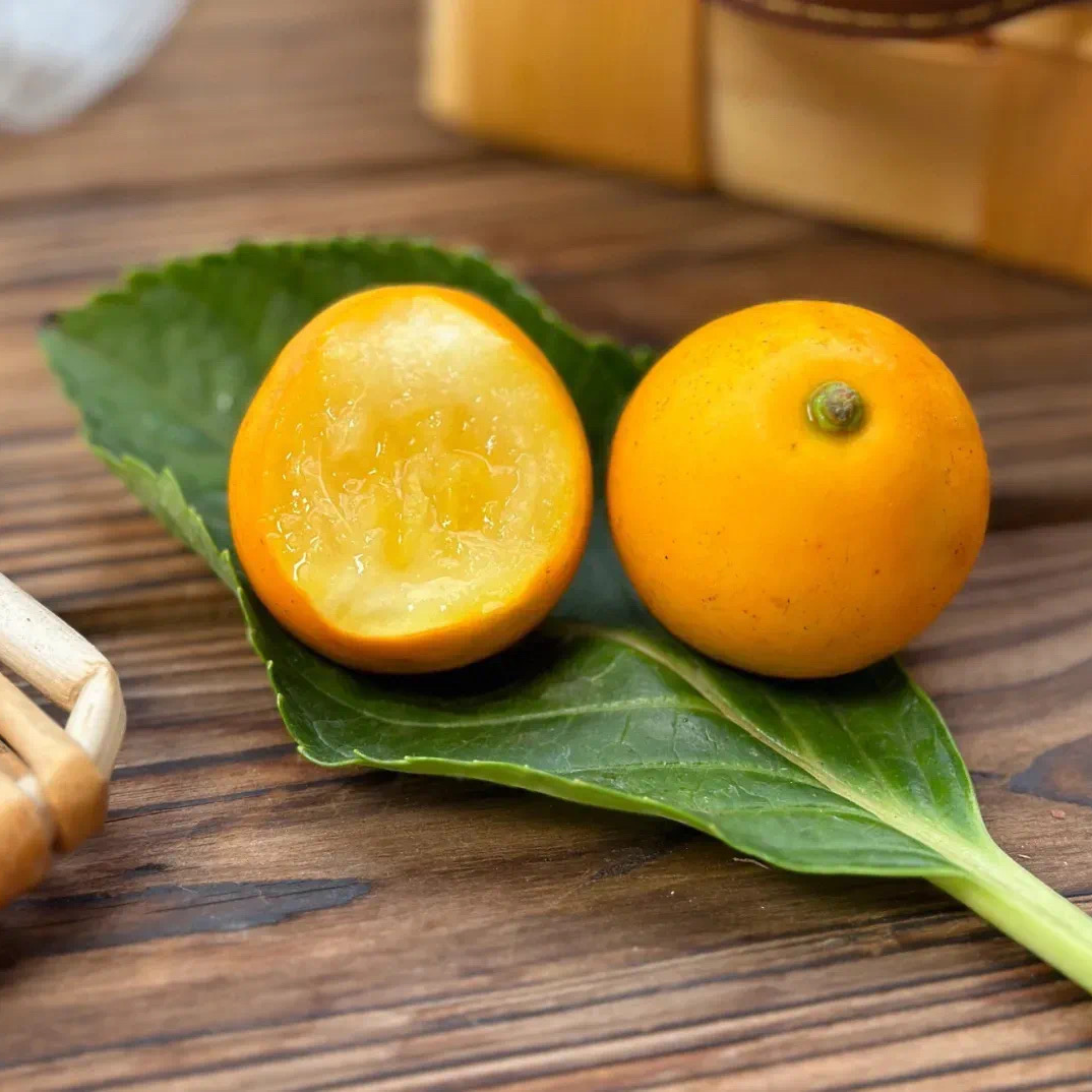 【礼盒装】A级果三代脆蜜金柑融安金桔多汁纯甜无酸无籽新鲜采摘