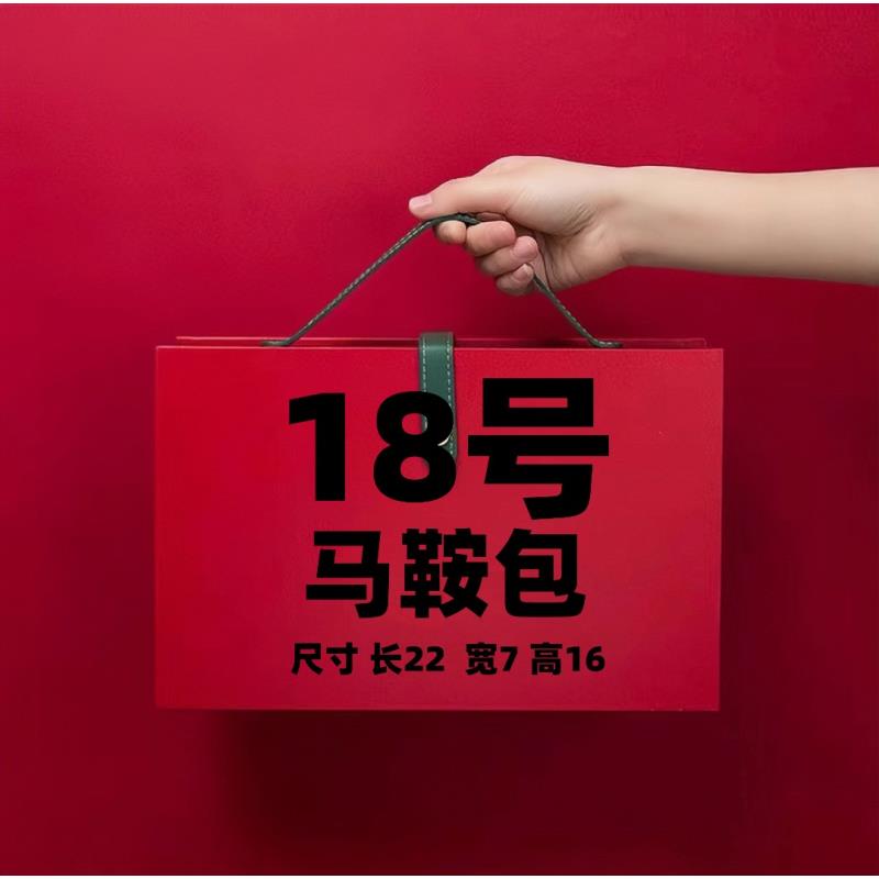 【18号】2023新款休闲轻奢双肩横拉背包307