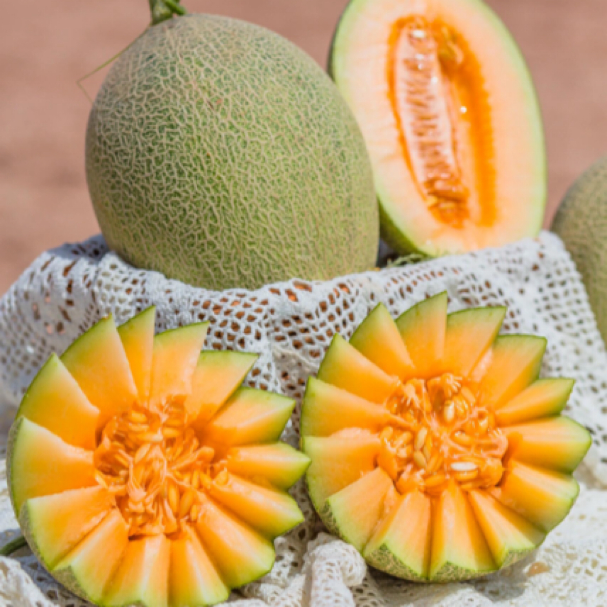 哈密瓜果切 （不低于400克）