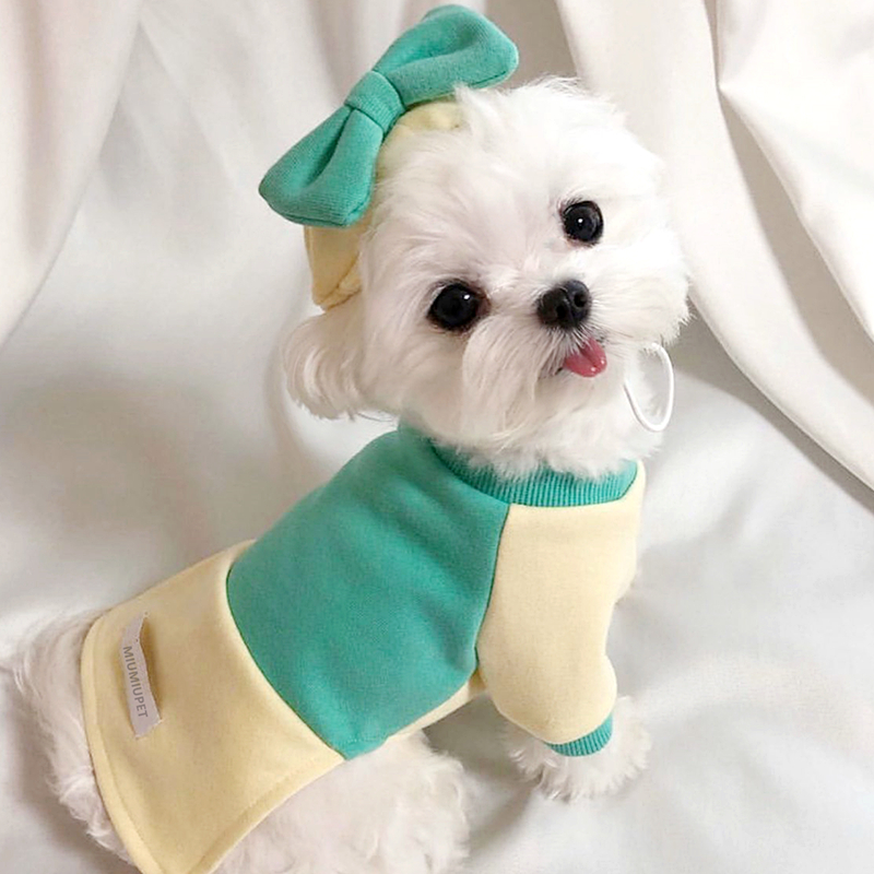 秋冬新款送帽子宠物泰迪比熊博美雪纳瑞贵宾猫咪小型犬狗狗衣服
