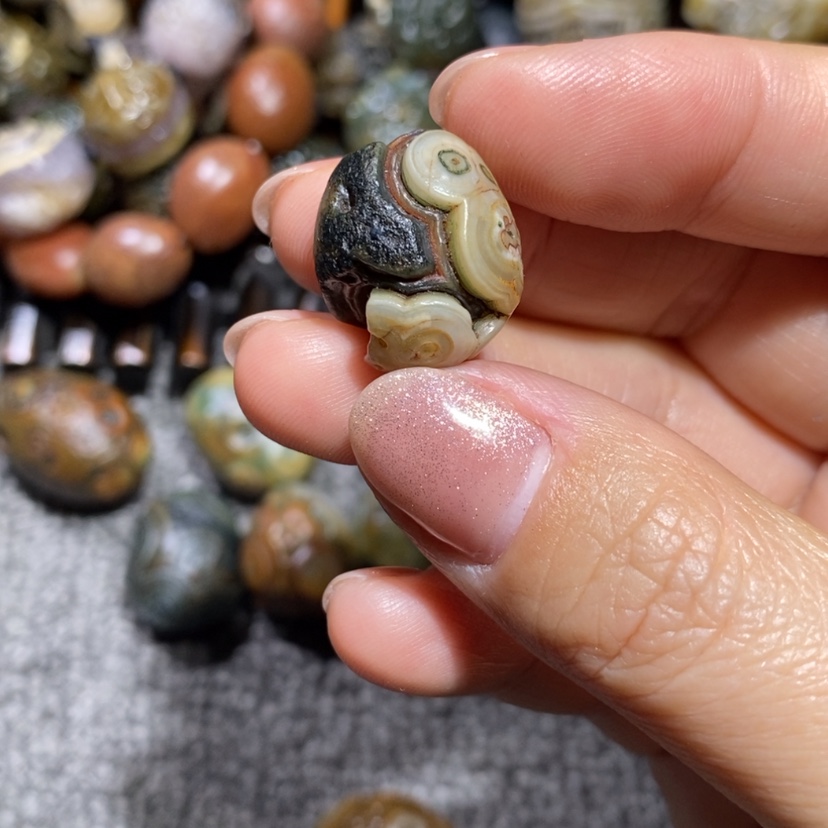 【闪购商品】河****司