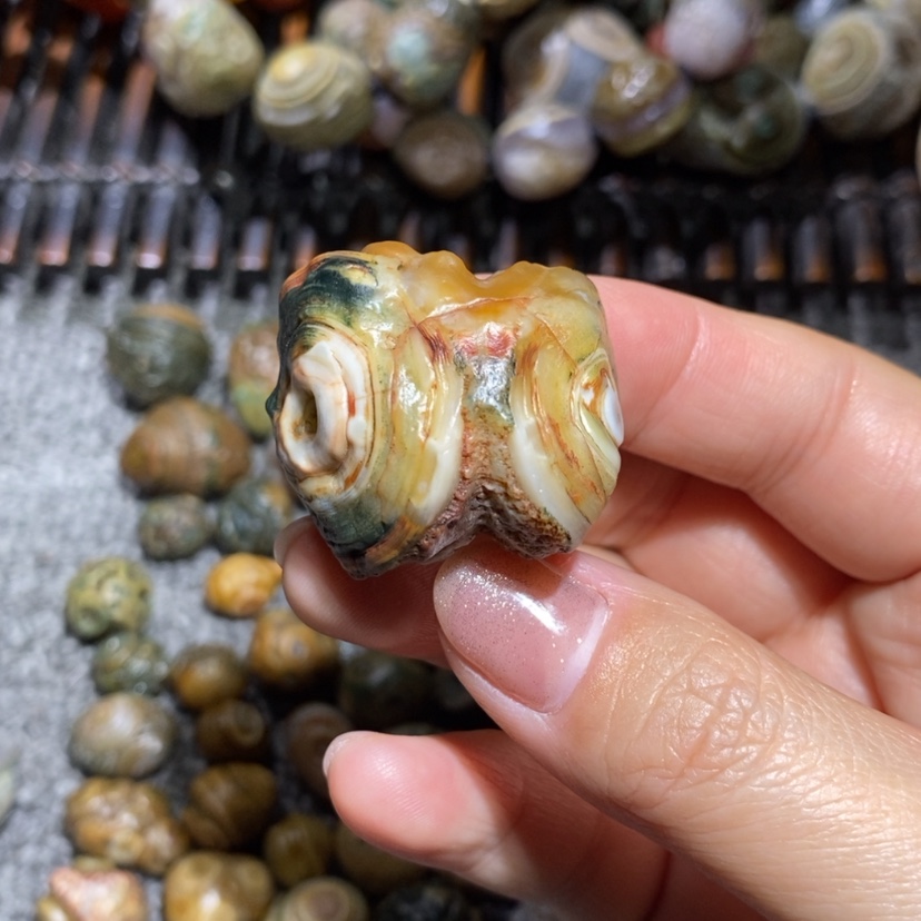 【闪购商品】河****司