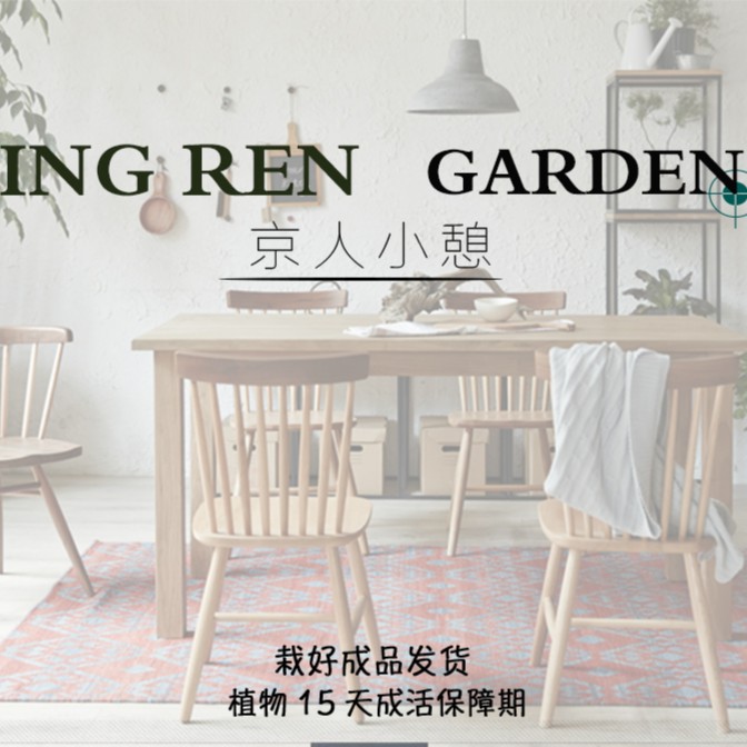 小叶榆树、真柏、胡椒木等盆景 一物一拍-C
