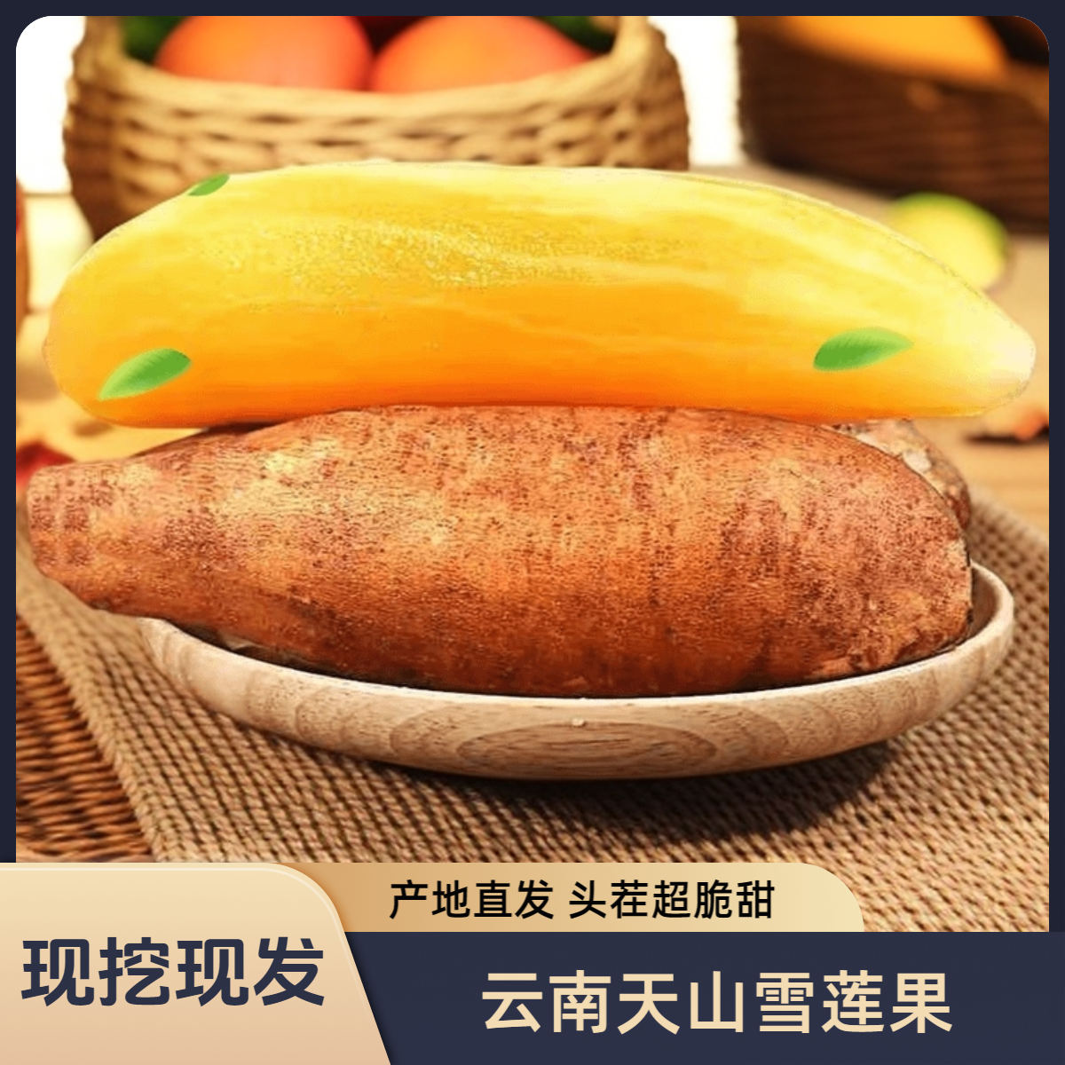 【现挖  坏果包赔】正宗云南天山雪莲果新鲜脆爽清甜产地果园发货