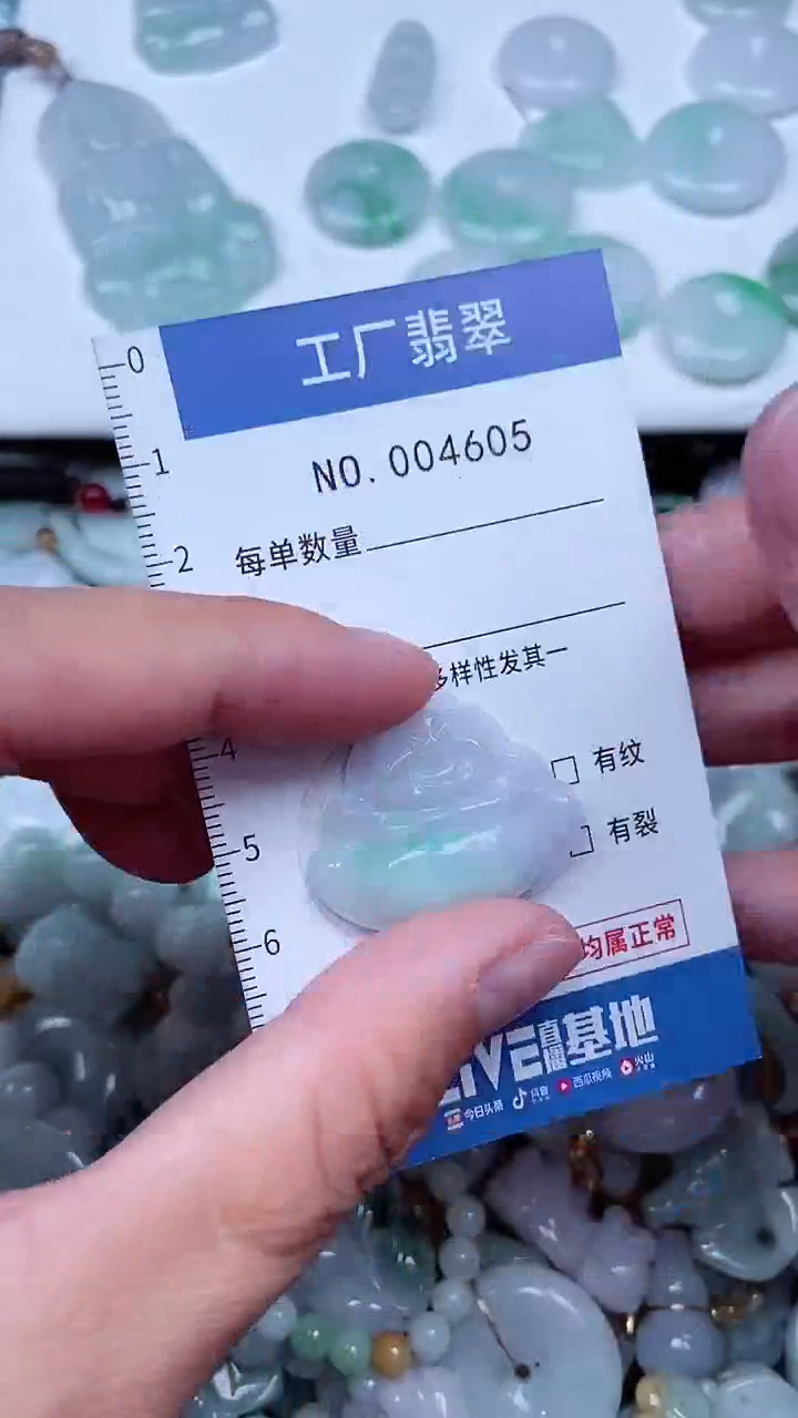 【闪购商品】翡翠颈饰未镶嵌翡翠