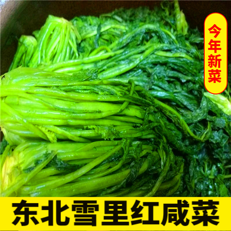【东北雪里红】大缸腌制雪里红咸菜下饭菜雪里蕻酱菜盐渍青雪菜新鲜