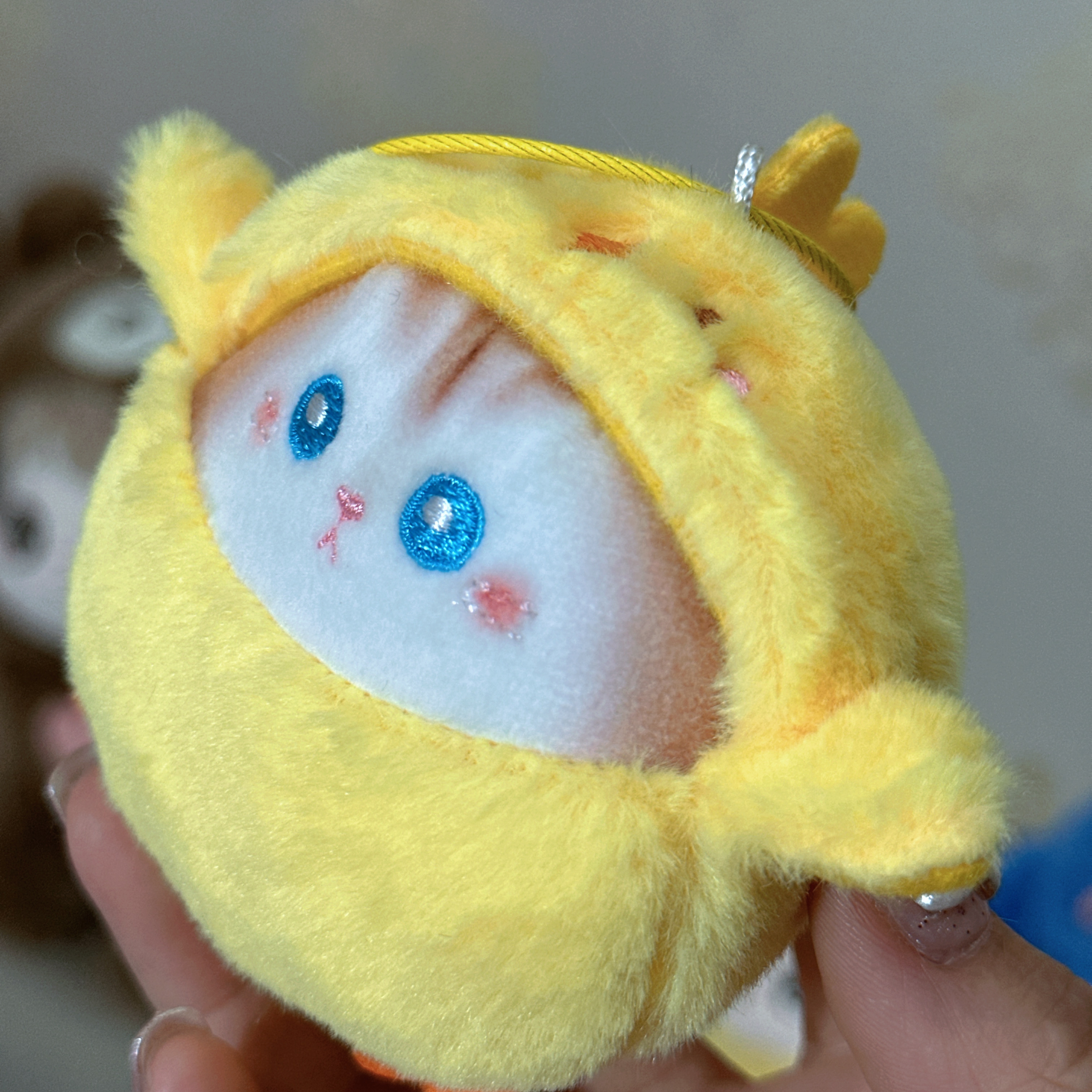 补单专拍链接毛绒公仔（非直播时段勿拍）