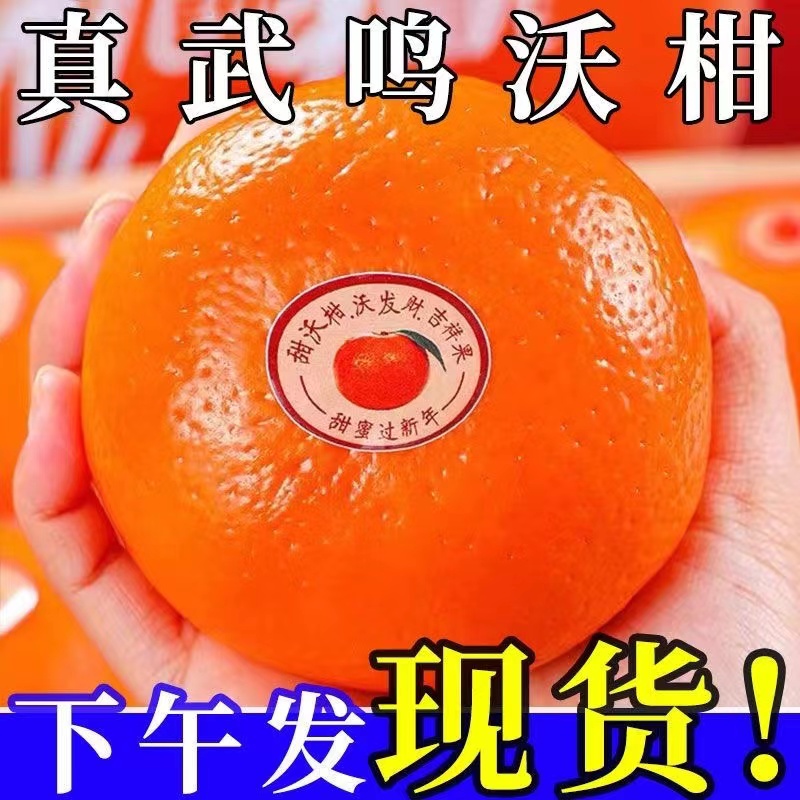正宗广西沃柑高原沃柑花皮果新鲜当季橘桔5/9斤整箱包邮皮薄成熟